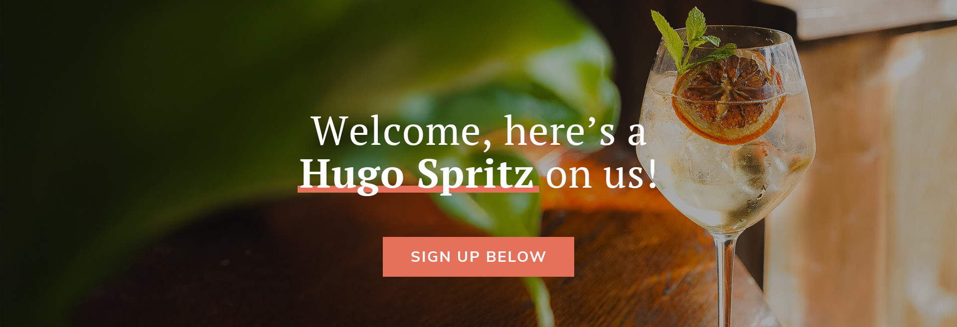 Sign up to the newsletter at The Starting Gate