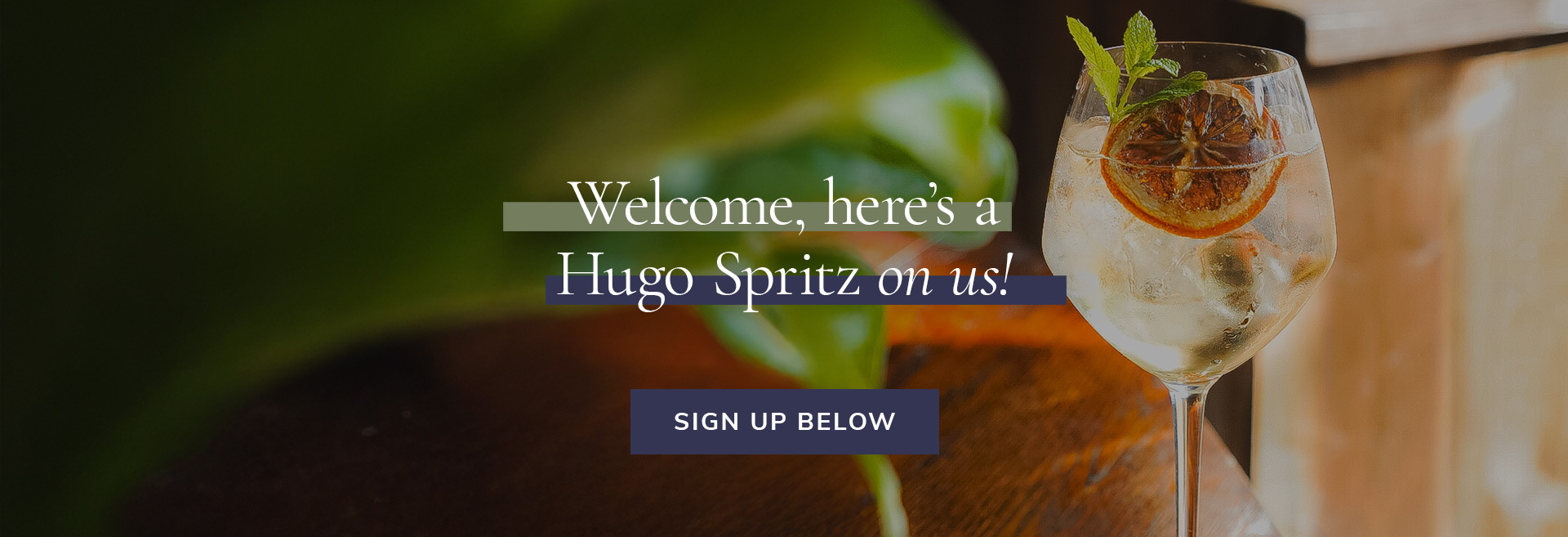 Sign up to the newsletter at The Starting Gate